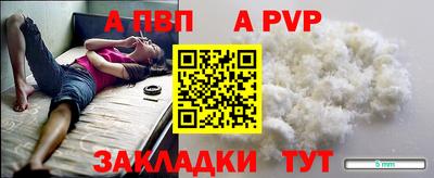 хмурый Кингисепп