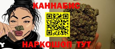 хмурый Кингисепп