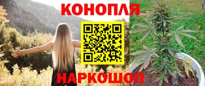 хмурый Кингисепп