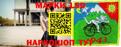 дмт Кимры