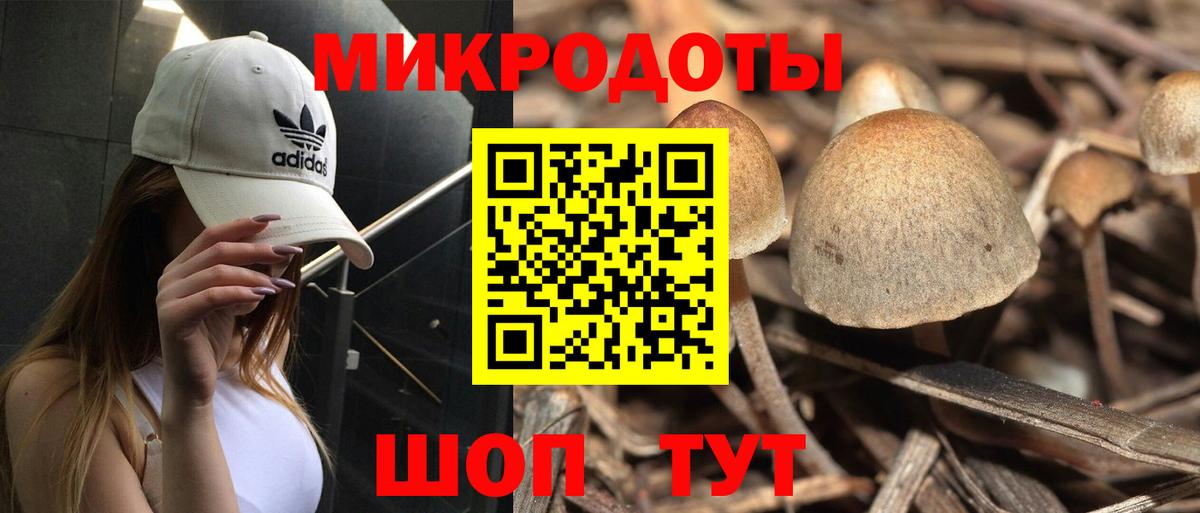Галлюциногенные грибы Psilocybe  Вход с VPN  Славянск-на-Кубани 